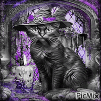 Black cat magic halloween - Besplatni animirani GIF