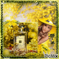 Mimosa scent