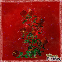 roses rouges - Δωρεάν κινούμενο GIF