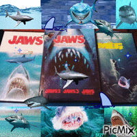 Sharks Are Lurking - GIF animé gratuit