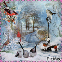 oiseaux en hiver - Ingyenes animált GIF