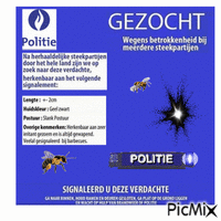 Gezocht - Δωρεάν κινούμενο GIF