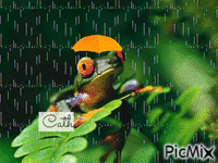 la fête a la grenouille - 無料のアニメーション GIF