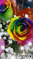 Fleur Rose - GIF animé gratuit