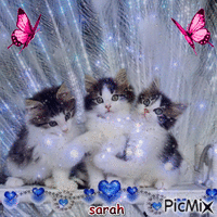 sarah love - 免费动画 GIF