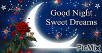Good Night - GIF animado gratis