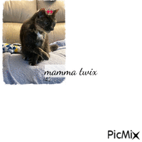 Mamma twix - Gratis animerad GIF