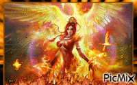 phoenix - GIF animado grátis