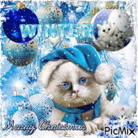 Christmas Cat In Blue