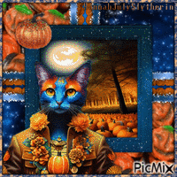 ♦Fantasy Cat with Pumpkins♦