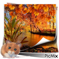 podzim - Besplatni animirani GIF