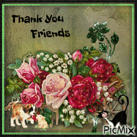 Thank You Friends