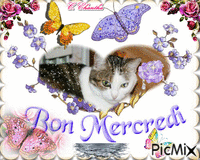 BON MERCREDI 17 02 16 - Gratis animerad GIF