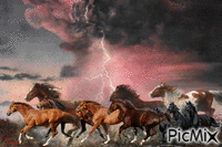 Horses & rain. animasyonlu GIF