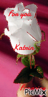 Kdo pour mon amie Katrin 💖💖💖 - Zdarma animovaný GIF
