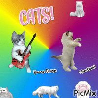Gif de Gatos! - GIF animasi gratis