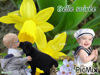Belle soirée animovaný GIF