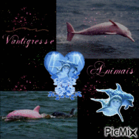 recompense vantigresse dauphins roses animovaný GIF