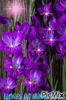 Flores da minha vida - Besplatni animirani GIF