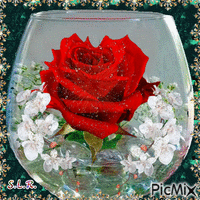 Heart Rose - Безплатен анимиран GIF