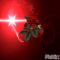 Love Rose - GIF animé gratuit