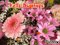 Feliz Domingo - Ingyenes animált GIF