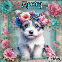 Primavera con un cane- Concorso - GIF animado gratis