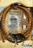 Wanted - Ingyenes animált GIF