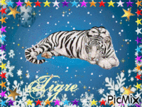 tigres geanimeerde GIF