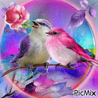 Oiseau - Бесплатный анимированный гифка