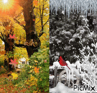 Autumn & Winter! - Free animated GIF