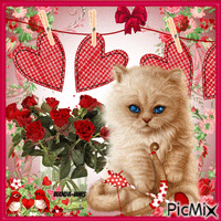 Valentines-love-kitten