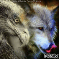Eagle and Wolf - GIF animasi gratis
