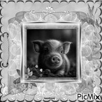 Cute Pig Baby - PNG gratuit