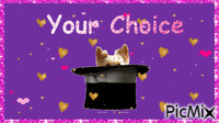 Your Choice animeret GIF