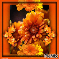 Orangefarbene Blüten - 無料のアニメーション GIF
