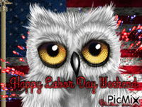 labor day owl animēts GIF