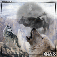 Loups par BBM - GIF animado grátis