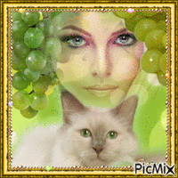 Gato uva e mulher