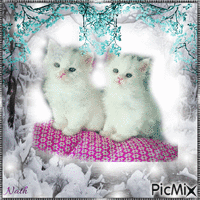 Deux petits chats sur un coussin Animated GIF