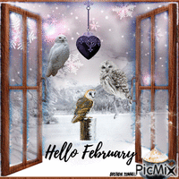 hello February owl - Zdarma animovaný GIF