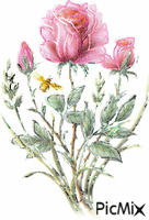 ruže - Ingyenes animált GIF