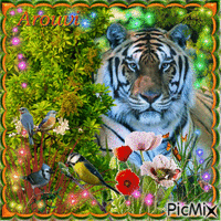 Tiger Animated GIF