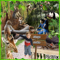 Visite au zoo Gif Animado