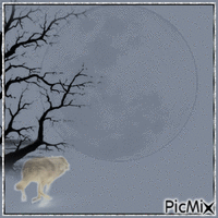 wolf moon animasyonlu GIF