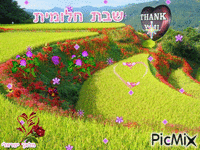 מלאך ישראלי - Ingyenes animált GIF