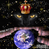 Worldwide kitty - GIF animé gratuit
