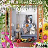 fenêtre fleurie animerad GIF
