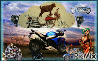 moto biquette анимиран GIF