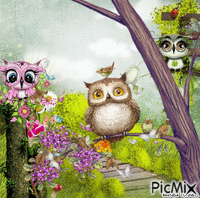 SPRING OWLS animasyonlu GIF